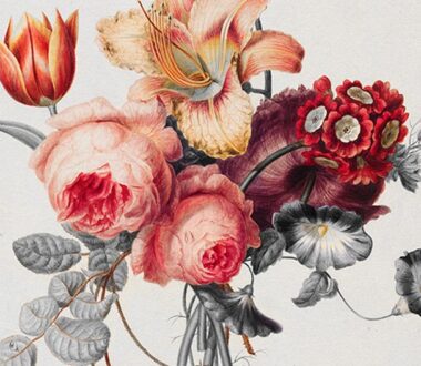 Hide WooCommerce Products From Specific Categories